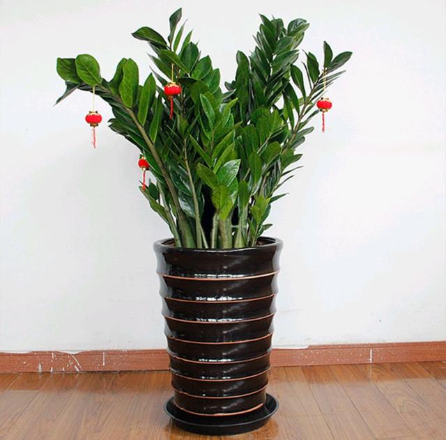 乳种翡翠知识入门翡翠基础知识入门-第67张图片-翡翠网 乳种翡翠知识入门翡翠基础知识入门-第67张图片-翡翠网