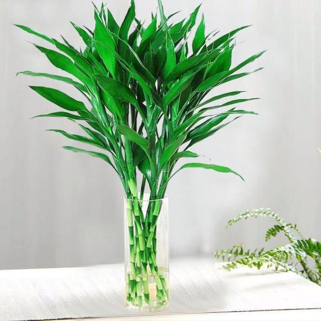 乳种翡翠知识入门翡翠基础知识入门-第70张图片-翡翠网 乳种翡翠知识入门翡翠基础知识入门-第70张图片-翡翠网