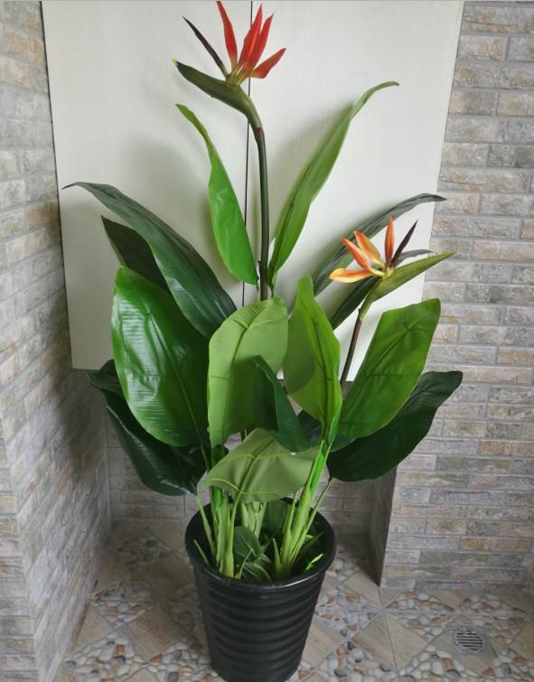 乳种翡翠知识入门翡翠基础知识入门-第77张图片-翡翠网 乳种翡翠知识入门翡翠基础知识入门-第77张图片-翡翠网