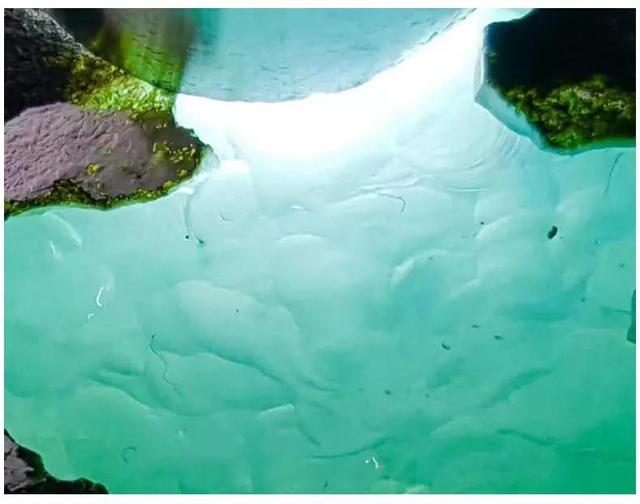 翡翠原石莫西沙龙珠莫西沙翡翠原石价格-第4张图片-翡翠网 翡翠原石莫西沙龙珠莫西沙翡翠原石价格-第4张图片-翡翠网