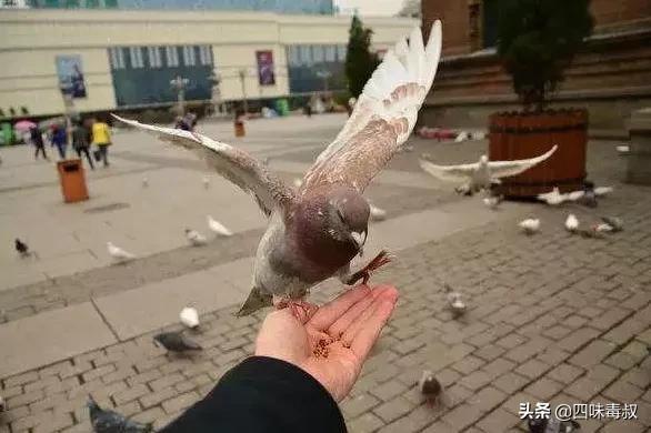 纳翠坊的翡翠是真的吗来纳翡翠的价格表-第1张图片-翡翠网 纳翠坊的翡翠是真的吗来纳翡翠的价格表-第1张图片-翡翠网