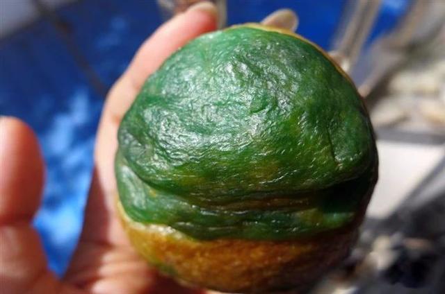 12万左右翡翠原石广东6500万拍下翡翠原石-第1张图片-翡翠网 12万左右翡翠原石广东6500万拍下翡翠原石-第1张图片-翡翠网