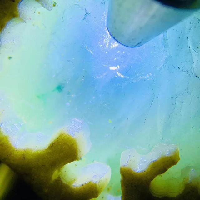 包浆翡翠原石视频,切翡翠原石视频-第6张图片-翡翠网