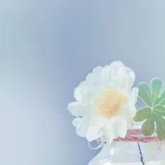 翡翠手镯价格,老翡翠拍卖价格-第1张图片-翡翠网 翡翠手镯价格,老翡翠拍卖价格-第1张图片-翡翠网