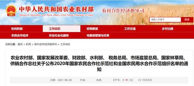 隆尧冰种翡翠原石冰种翡翠原石什么价位-第1张图片-翡翠网 隆尧冰种翡翠原石冰种翡翠原石什么价位-第1张图片-翡翠网