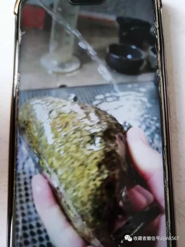 砭石真假翡翠知识鉴定翡翠真假小妙招-第41张图片-翡翠网