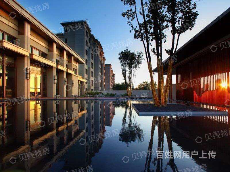 丹东市翡翠壹号发展翡翠壹号翡翠价格-第1张图片-翡翠网