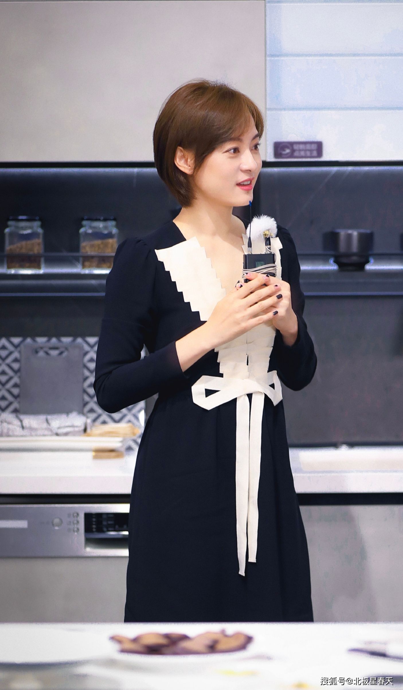 孙俪春晚翡翠知识,央视鉴宝节目翡翠专场-第1张图片-翡翠网 孙俪春晚翡翠知识,央视鉴宝节目翡翠专场-第1张图片-翡翠网