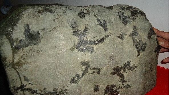 翡翠狗屎地原石切开图,翡翠狗屎地原石图片-第2张图片-翡翠网