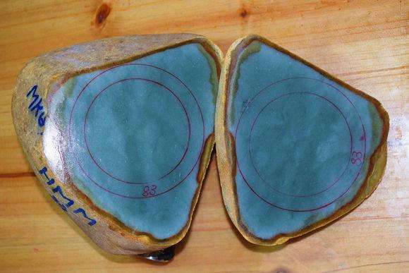 翡翠原石去皮抛光教程,怎样切翡翠原石-第1张图片-翡翠网 翡翠原石去皮抛光教程,怎样切翡翠原石-第1张图片-翡翠网