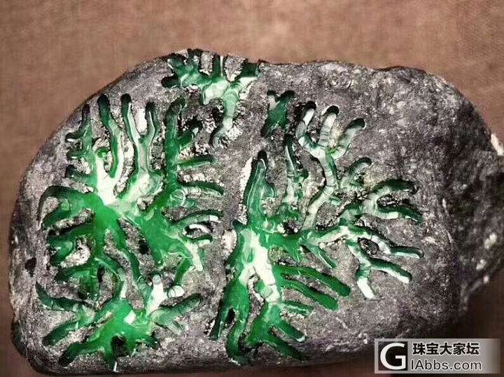 辽宁翡翠原石的价位,翡翠原石鉴赏交流-第1张图片-翡翠网 辽宁翡翠原石的价位,翡翠原石鉴赏交流-第1张图片-翡翠网