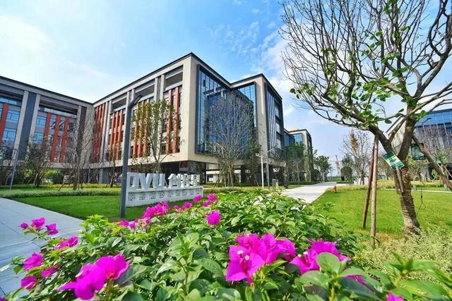 关于双流珍宝翡翠的价格的信息-第8张图片-翡翠网 关于双流珍宝翡翠的价格的信息-第8张图片-翡翠网