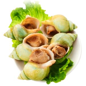 关于翡翠螺知识的信息-第1张图片-翡翠网 关于翡翠螺知识的信息-第1张图片-翡翠网