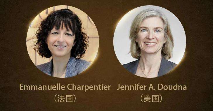 直播诺贝尔化学,历年诺贝尔化学奖-第2张图片-翡翠网 直播诺贝尔化学,历年诺贝尔化学奖-第2张图片-翡翠网