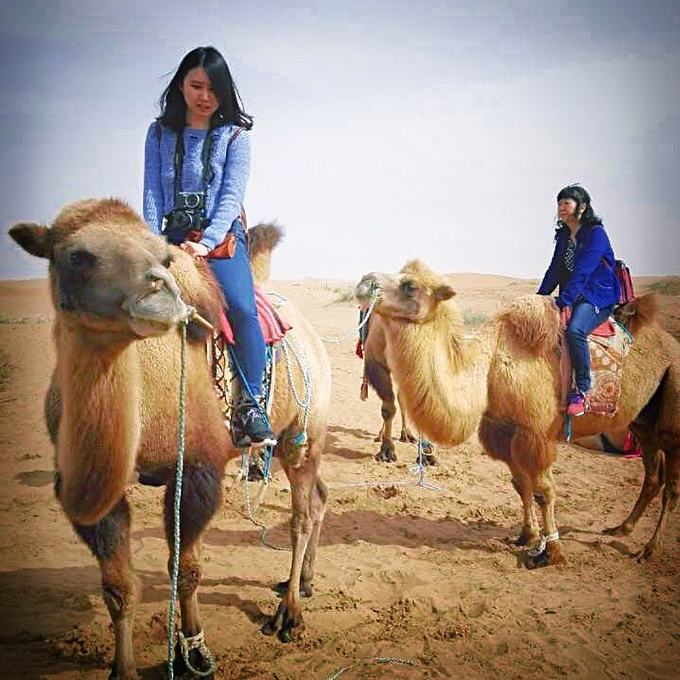 包含腾格里的骆驼翡翠手镯的词条-第2张图片-翡翠网 包含腾格里的骆驼翡翠手镯的词条-第2张图片-翡翠网