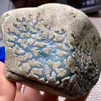 五公斤翡翠原石450元,二百元的翡翠原石-第2张图片-翡翠网 五公斤翡翠原石450元,二百元的翡翠原石-第2张图片-翡翠网