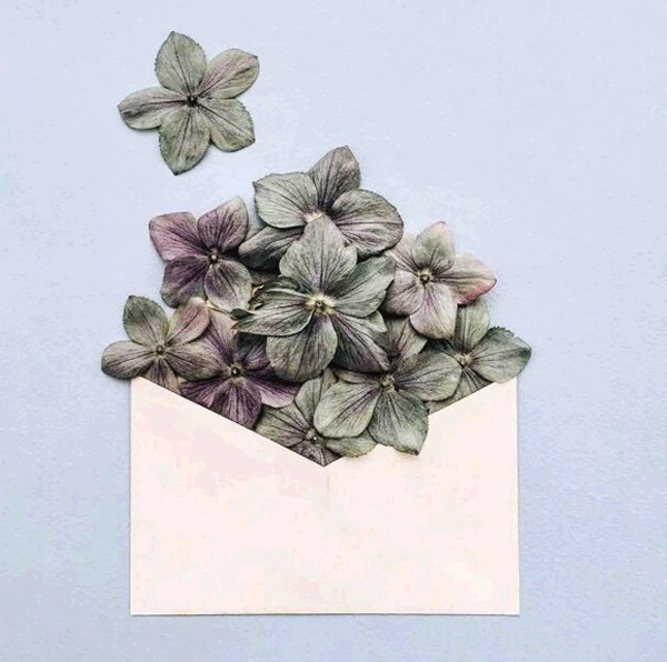 绝对契合by十九瑶绝对契合by-第2张图片-翡翠网 绝对契合by十九瑶绝对契合by-第2张图片-翡翠网