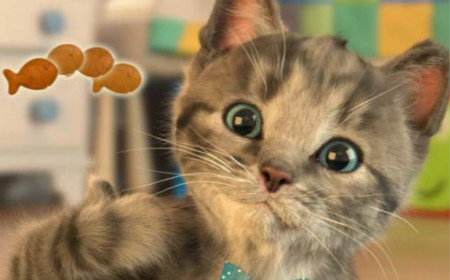 zs3333钻石钻石网站bluenile-第1张图片-翡翠网 zs3333钻石钻石网站bluenile-第1张图片-翡翠网