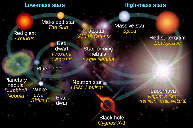 黄金的用途和作用,黄荆子的功效与作用-第2张图片-翡翠网 黄金的用途和作用,黄荆子的功效与作用-第2张图片-翡翠网