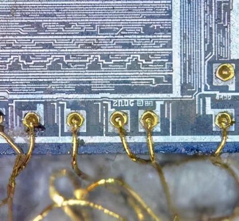 黄金的用途和作用,黄荆子的功效与作用-第5张图片-翡翠网 黄金的用途和作用,黄荆子的功效与作用-第5张图片-翡翠网