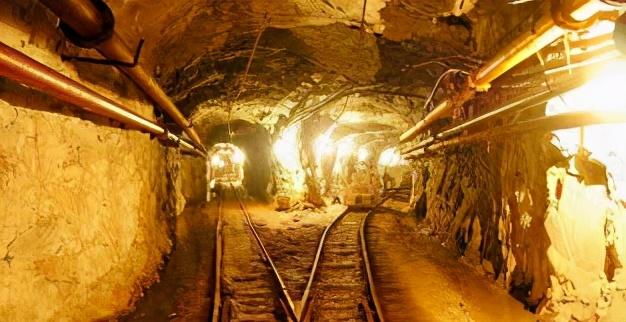 黄金的用途和作用,黄荆子的功效与作用-第7张图片-翡翠网 黄金的用途和作用,黄荆子的功效与作用-第7张图片-翡翠网