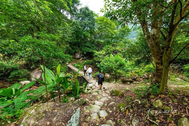 名字山谷有什么不同,山谷翡翠知识大全-第2张图片-翡翠网 名字山谷有什么不同,山谷翡翠知识大全-第2张图片-翡翠网