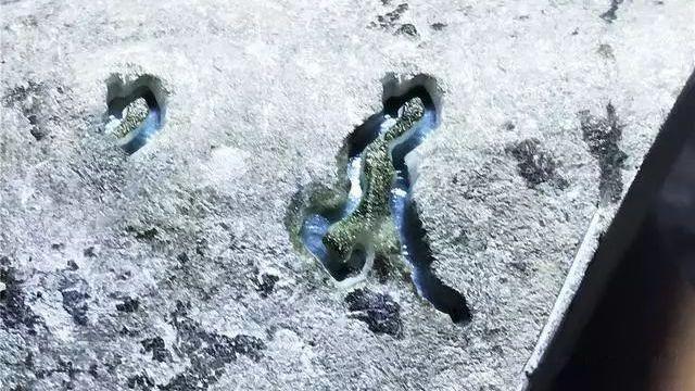 新疆翡翠原石翡翠原石开-第6张图片-翡翠网 新疆翡翠原石翡翠原石开-第6张图片-翡翠网