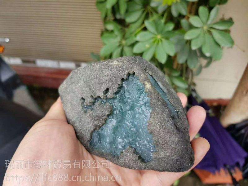 翡翠原石哪里买比较靠谱绿林翡翠原石价格表-第1张图片-翡翠网 翡翠原石哪里买比较靠谱绿林翡翠原石价格表-第1张图片-翡翠网