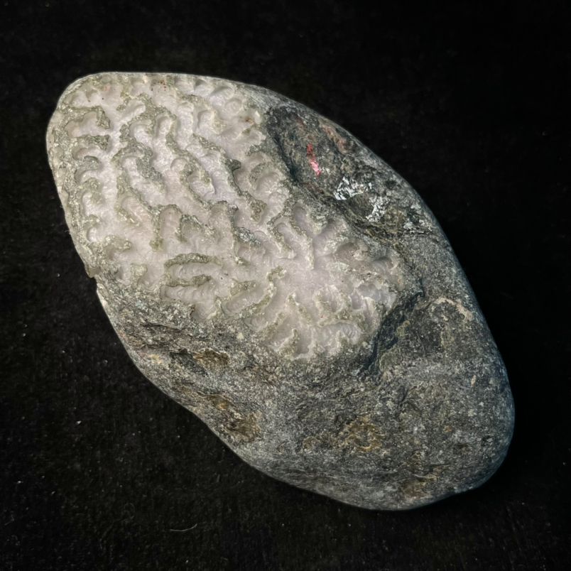 翡翠原石刚切出来的样子,翡翠原石介绍讲解-第1张图片-翡翠网 翡翠原石刚切出来的样子,翡翠原石介绍讲解-第1张图片-翡翠网