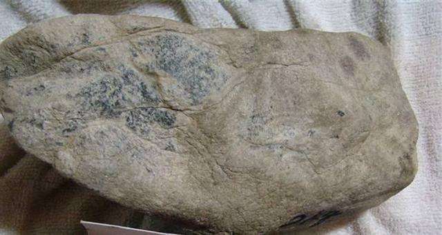 翡翠原石蜂窝翡翠原石种老种嫩怎么看-第1张图片-翡翠网 翡翠原石蜂窝翡翠原石种老种嫩怎么看-第1张图片-翡翠网