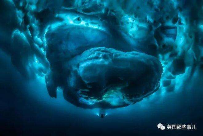 人形海象翡翠知识,人形海象讲的是什么-第2张图片-翡翠网 人形海象翡翠知识,人形海象讲的是什么-第2张图片-翡翠网