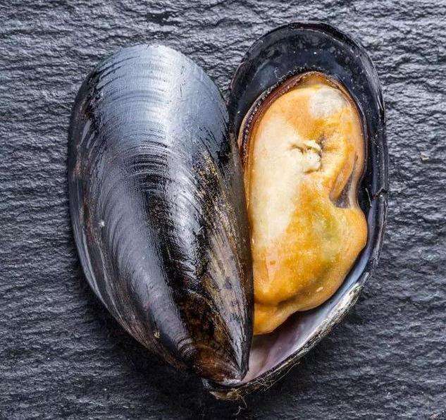 翡翠贻贝价格,翡翠贻贝的怎么去壳-第2张图片-翡翠网 翡翠贻贝价格,翡翠贻贝的怎么去壳-第2张图片-翡翠网