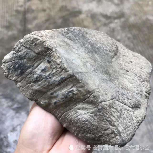 十大最不值钱的冰种翡翠,莫沙西翡翠原石-第2张图片-翡翠网 十大最不值钱的冰种翡翠,莫沙西翡翠原石-第2张图片-翡翠网