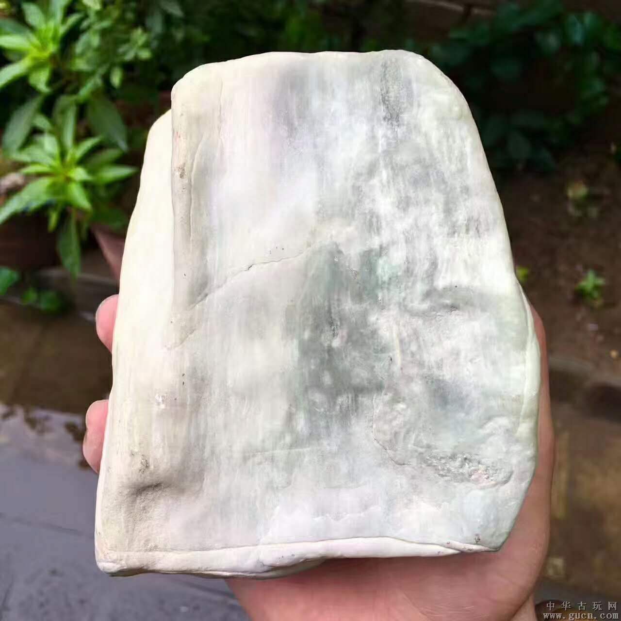 柏德翡翠原石,直播间买原石全是假的吗-第2张图片-翡翠网 柏德翡翠原石,直播间买原石全是假的吗-第2张图片-翡翠网