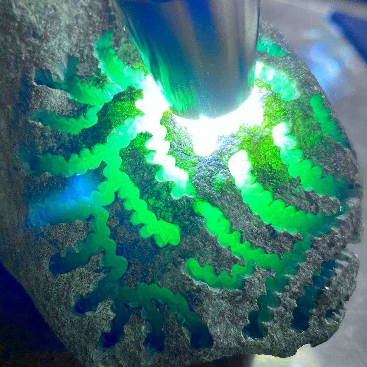 莫西沙翡翠原石价莫西沙翡翠原石特点-第1张图片-翡翠网 莫西沙翡翠原石价莫西沙翡翠原石特点-第1张图片-翡翠网