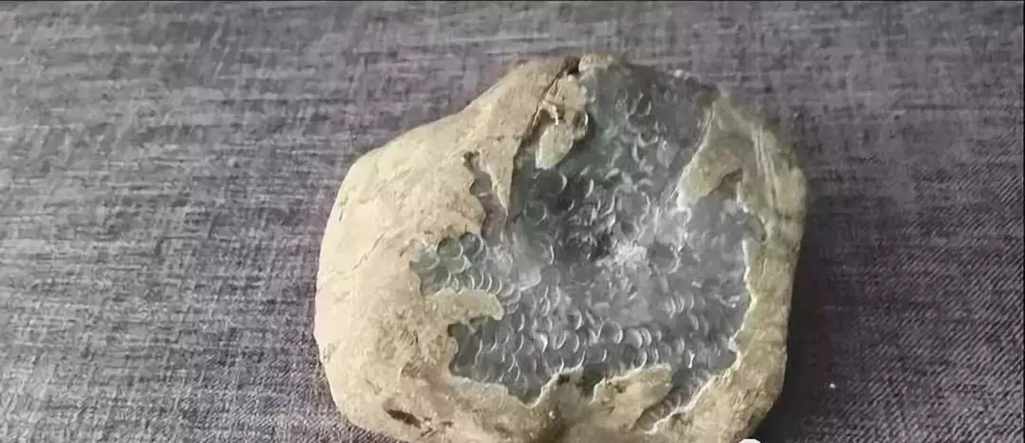 泰安翡翠原石剥皮,快速上门收购翡翠原石-第2张图片-翡翠网 泰安翡翠原石剥皮,快速上门收购翡翠原石-第2张图片-翡翠网