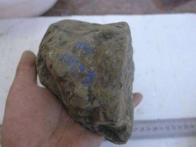 翡翠原石有假的吗翡翠原石是不是假的-第1张图片-翡翠网 翡翠原石有假的吗翡翠原石是不是假的-第1张图片-翡翠网