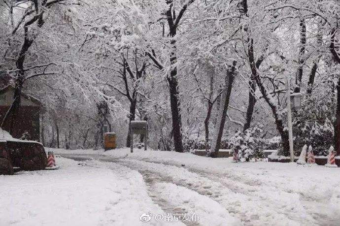 全国降雪分布图最新,直播全国多地迎来降雪szk**-第2张图片-翡翠网 全国降雪分布图最新,直播全国多地迎来降雪szk**-第2张图片-翡翠网