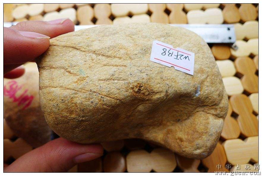 大马坎翡翠原石全身布满松花,大马坎红翡原石-第1张图片-翡翠网 大马坎翡翠原石全身布满松花,大马坎红翡原石-第1张图片-翡翠网