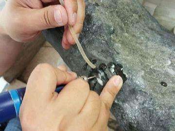 翡翠原石擦石正确方法翡翠原石怎么擦-第2张图片-翡翠网