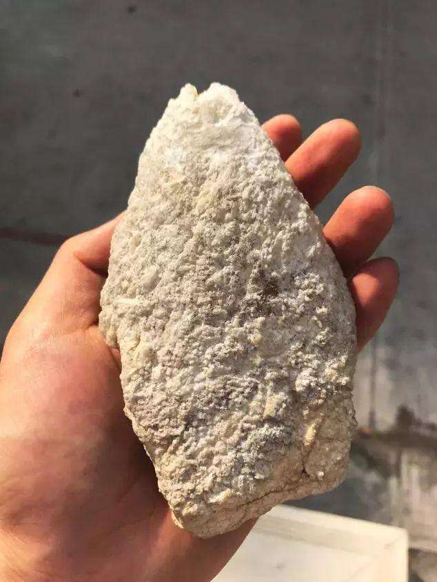 白皮翡翠原石图片白翡翠原石图片-第1张图片-翡翠网 白皮翡翠原石图片白翡翠原石图片-第1张图片-翡翠网