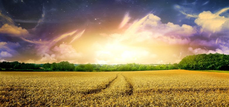 金黄金黄的什么类似词语金黄金黄的什么-第1张图片-翡翠网 金黄金黄的什么类似词语金黄金黄的什么-第1张图片-翡翠网