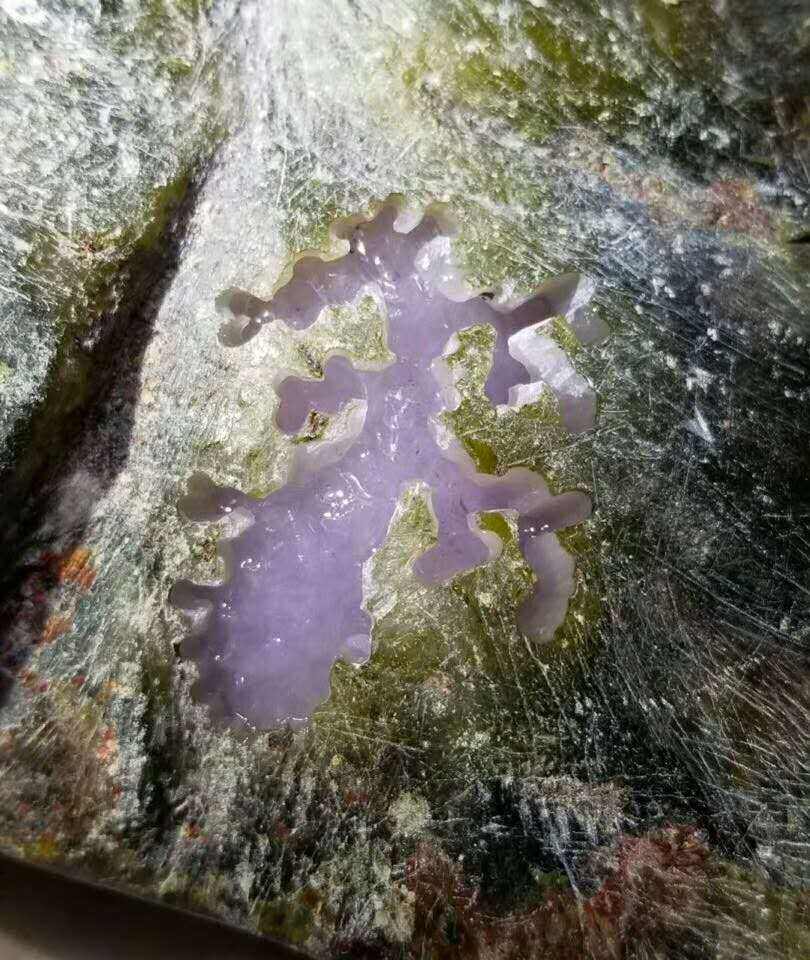 翡翠紫罗兰值钱吗翡翠紫罗兰原石什么样-第1张图片-翡翠网