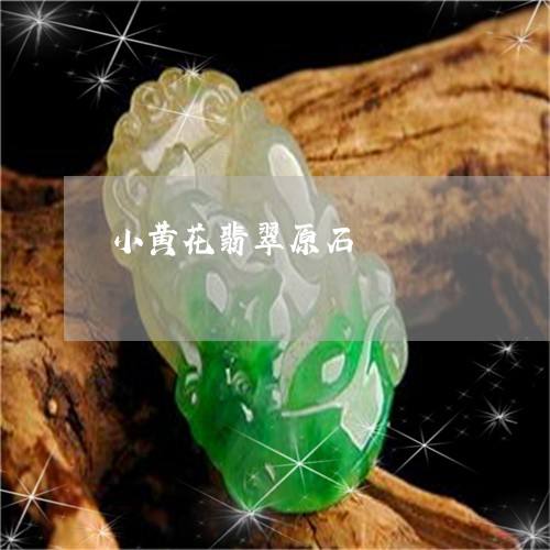 大翡翠原石小视频图大翡翠原石小视频-第1张图片-翡翠网 大翡翠原石小视频图大翡翠原石小视频-第1张图片-翡翠网