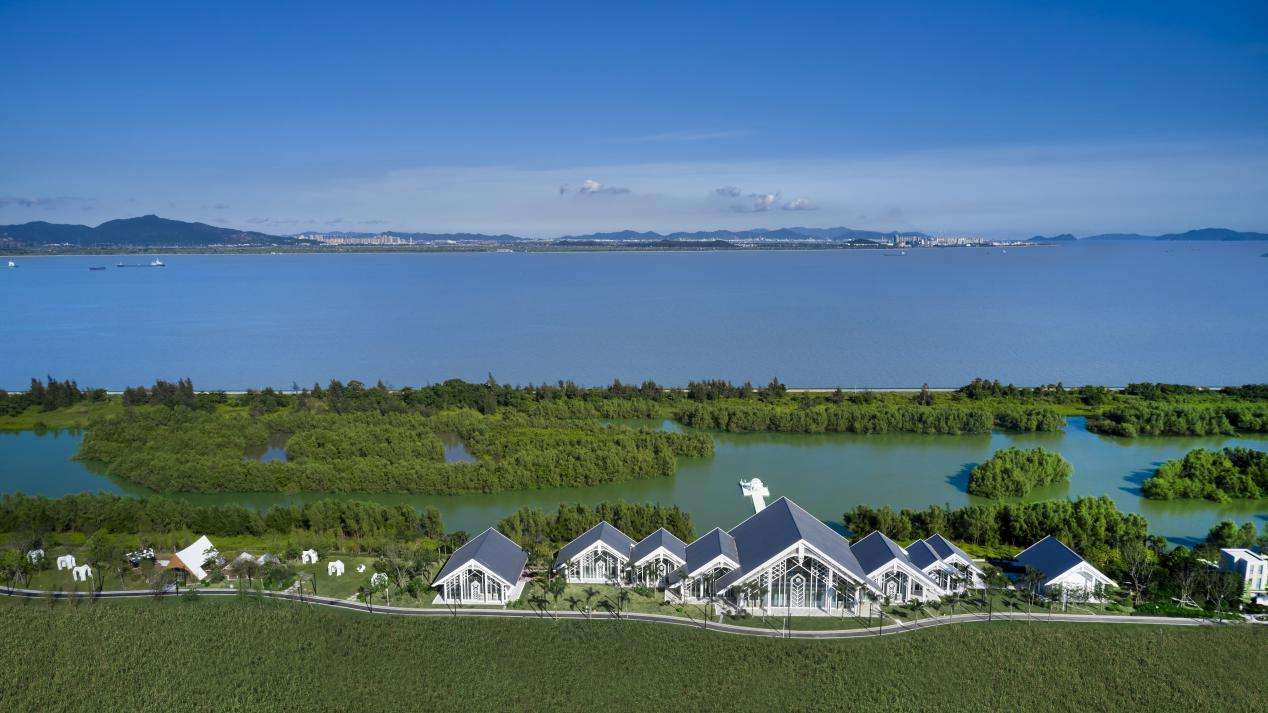 超级黄金法眼*****,黄金法眼*****-第1张图片-翡翠网 超级黄金法眼*****,黄金法眼*****-第1张图片-翡翠网