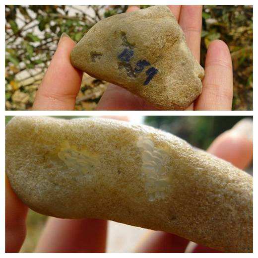 翡翠原石入门基础知识,翡翠原石入门级知识汇总-第1张图片-翡翠网 翡翠原石入门基础知识,翡翠原石入门级知识汇总-第1张图片-翡翠网