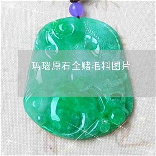 什么是玛瑙原石翡翠原石与玛瑙原石-第2张图片-翡翠网 什么是玛瑙原石翡翠原石与玛瑙原石-第2张图片-翡翠网