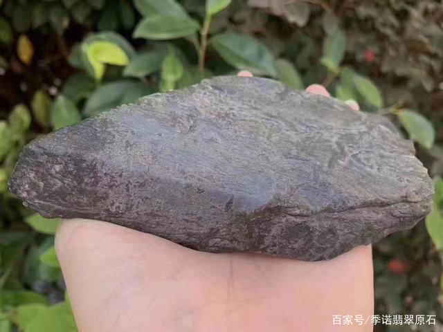 大象皮翡翠原石切开后大象皮翡翠原石切涨率-第2张图片-翡翠网 大象皮翡翠原石切开后大象皮翡翠原石切涨率-第2张图片-翡翠网