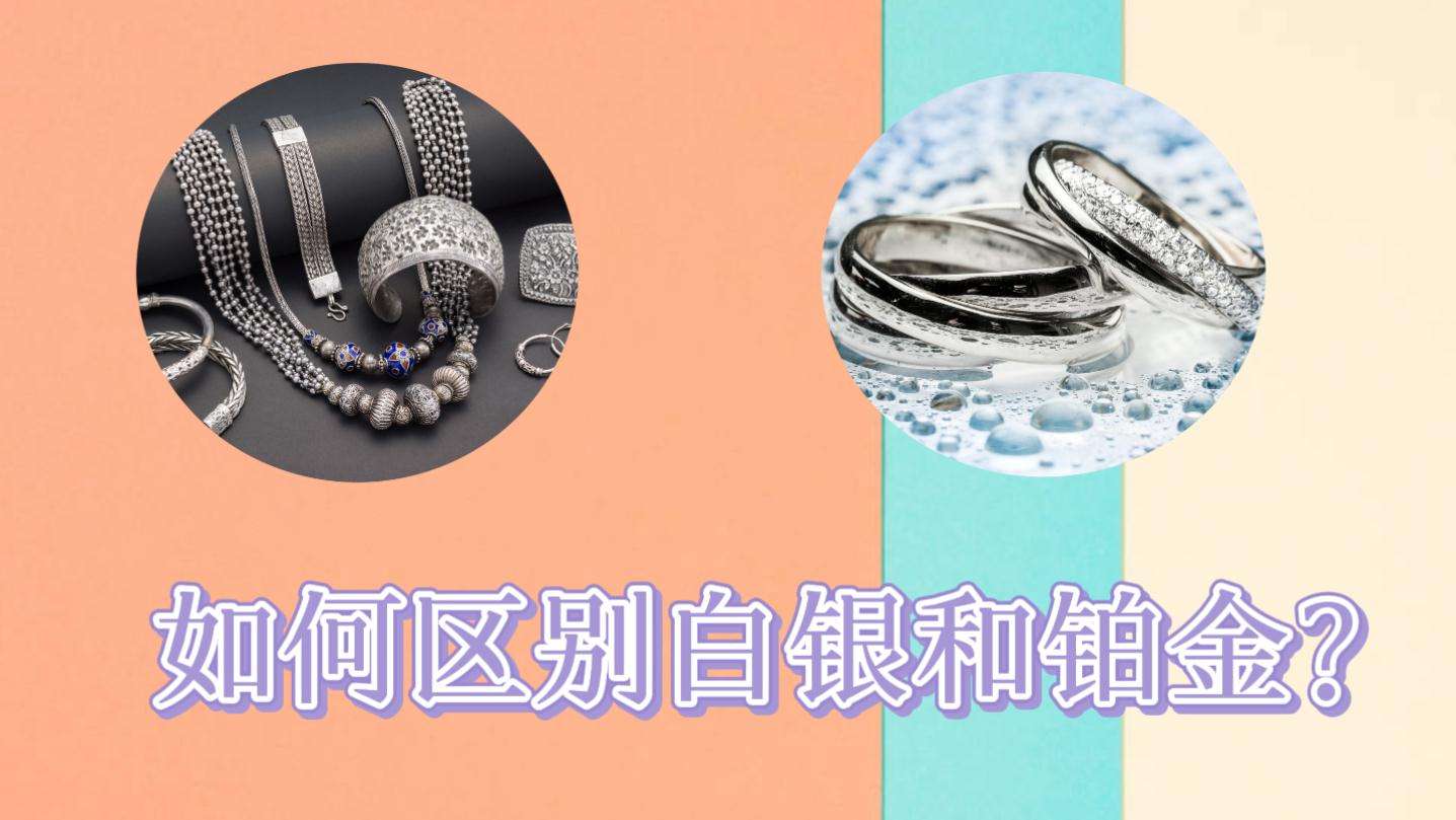 纸白银 金投网纸铂金金投网-第1张图片-翡翠网 纸白银 金投网纸铂金金投网-第1张图片-翡翠网