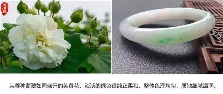 翡翠基础知识图片大全翡翠的基本知识大全百度-第2张图片-翡翠网 翡翠基础知识图片大全翡翠的基本知识大全百度-第2张图片-翡翠网